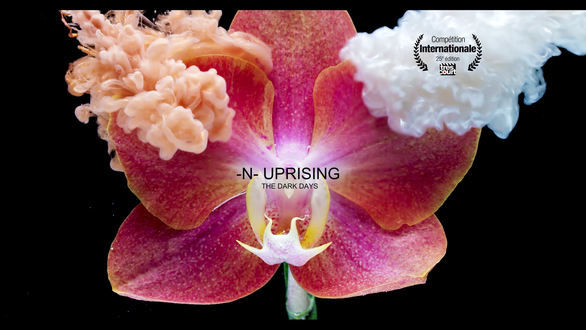 N-UPRISING  'The Dark Days' 8K