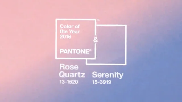 rose quartz / serenity Notebook: Find Your Pantone True Color Collection:  books, booboobunn: 9798535781570: : Books