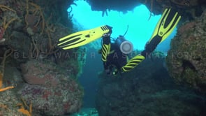 1343_female scuba diver diving through cave