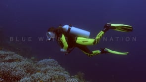 1418_female scuba diver swimming over coral reef