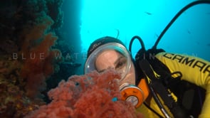 1430_female scuba diver red soft coral