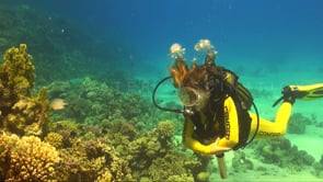 1140_female scuba diver on reef