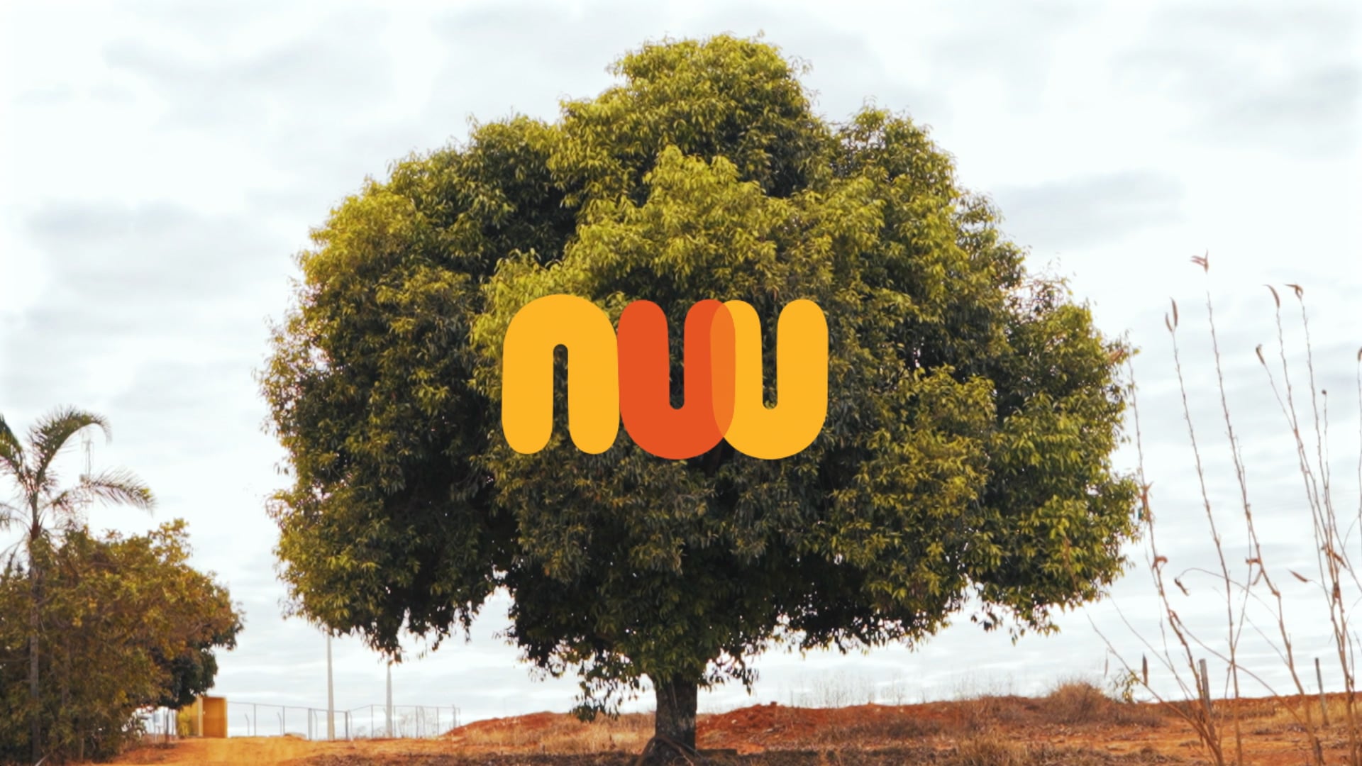 NUU Alimentos | O Dadinho do Chef