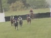 Middleburg Spring 04 22 23  Race 2