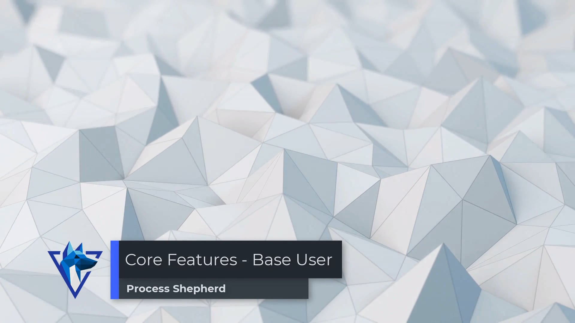 Process Shepherd Core Features - Base User