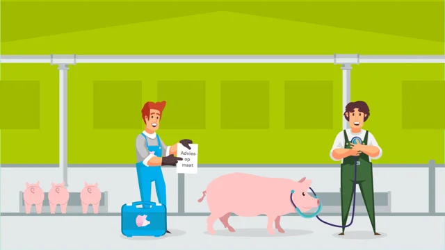 Healthy Pig - Kanters