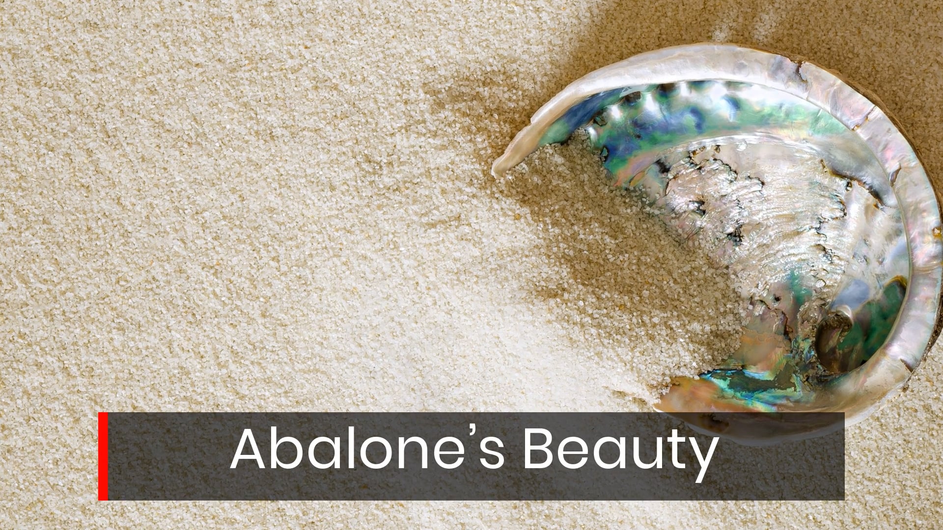 Abalone's Beauty, Meanings, Properties & Benefits on Vimeo