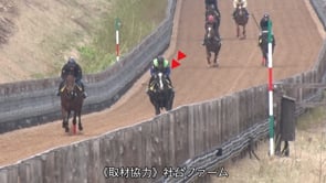 動画サムネイル