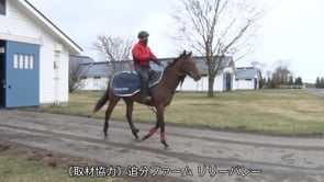 動画サムネイル