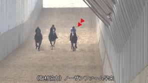 動画サムネイル