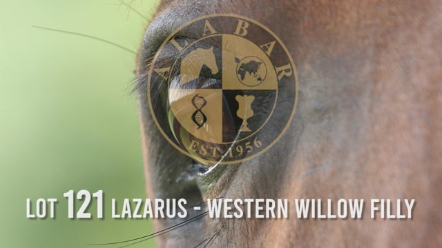 Lot 121