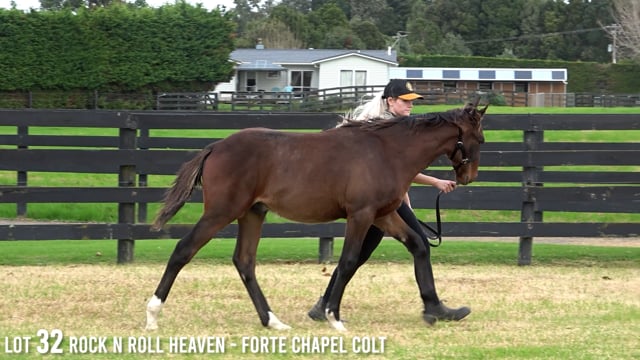 Lot 32