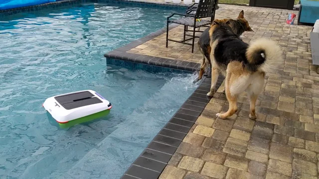 Ariel Automatic Solar Robot Pool Cleaner