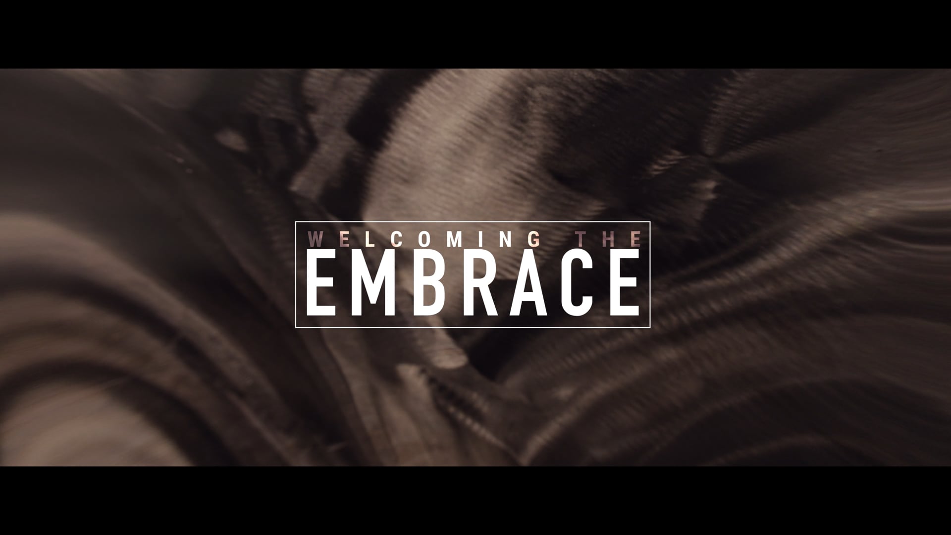 Welcoming the Embrace documentary Trailer