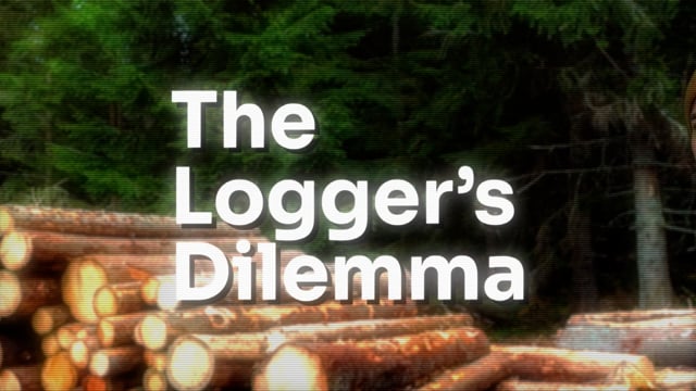 The Logger's Dilemma