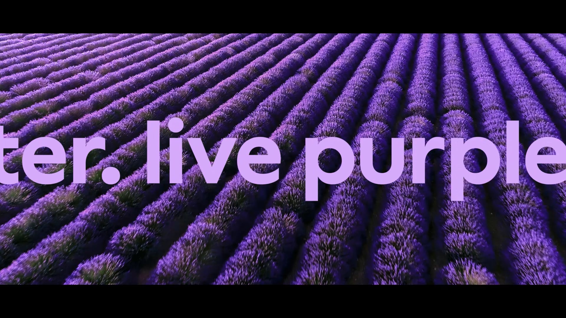 in-store-video-final-5-1-in-store-video-6-06-on-vimeo