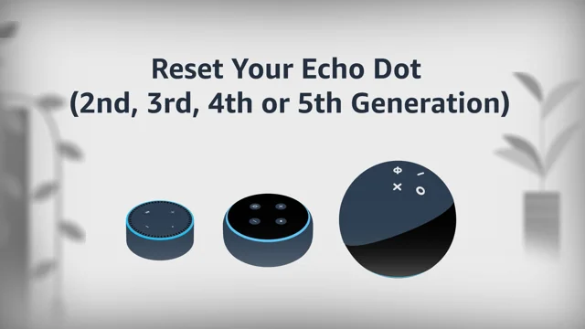 Support for Echo Dot -  Customer Service