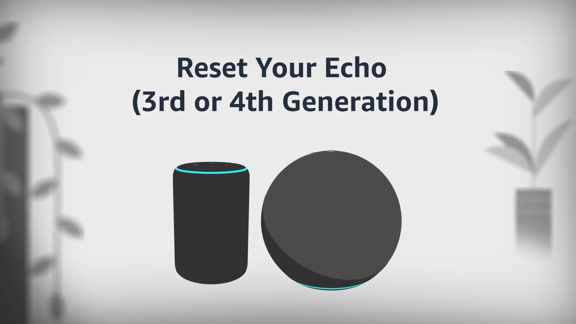 Resetting amazon shops echo