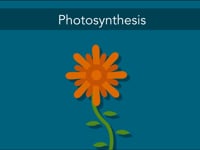 Newswise:Video Embedded researchers-capture-elusive-missing-step-in-the-final-act-of-photosynthesis