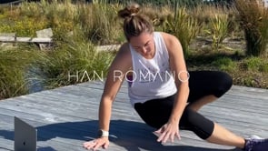 Strength - Full Body Shaker