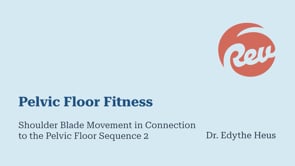 Shoulder Blade Movement in Connection to the Pelvic Floor Sequence 2