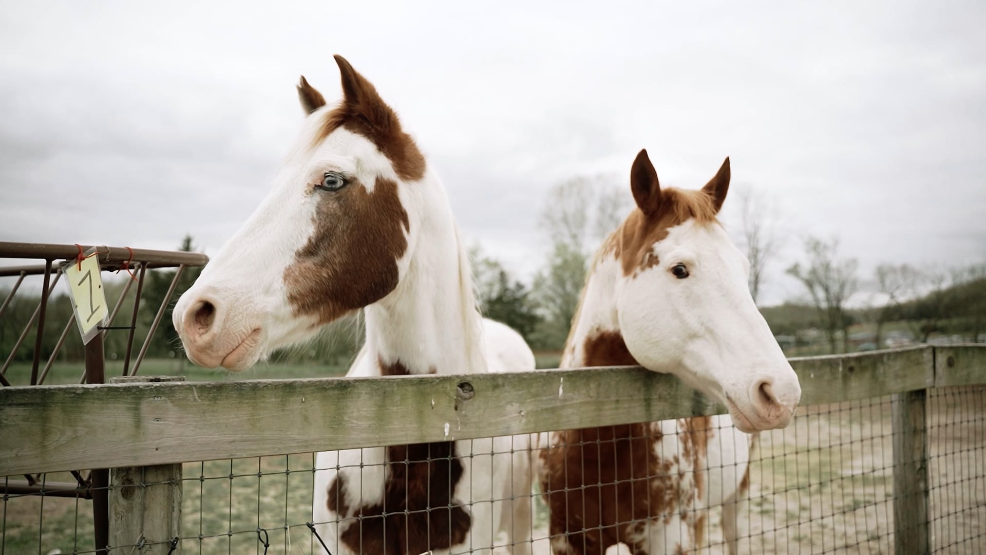 Delaney & Jim Highlight