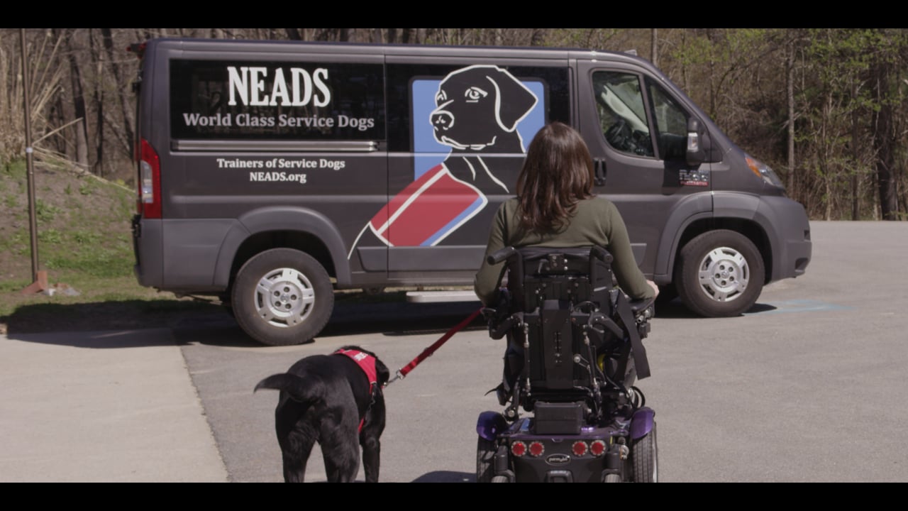IWill