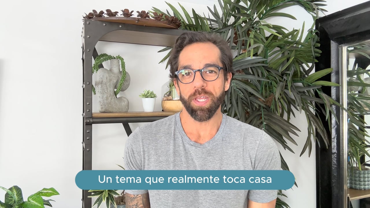 Reproducir