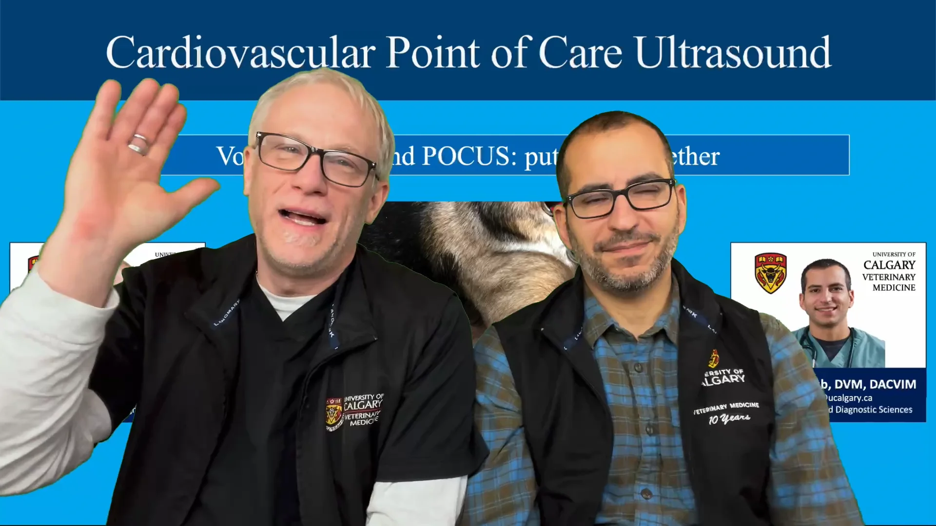 4.6 CPOCUS all POCUS volume status on Vimeo