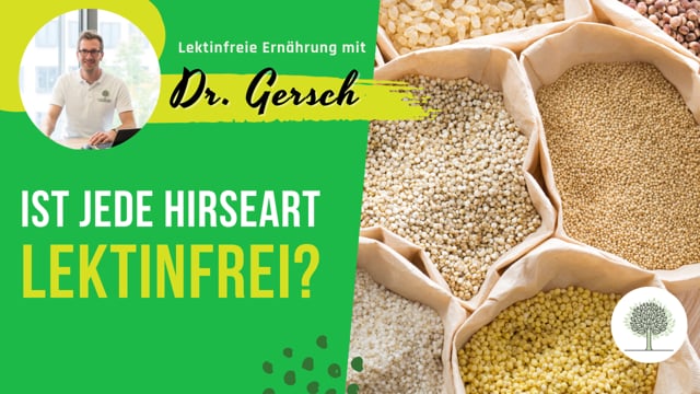 Ist jede Art von Hirse lektinfrei? Also ist dann auch Sorghum lektinfrei? 