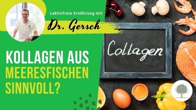 Ist es sinnvoll, Kollagen aus Meeresfischen einzunehmen? 