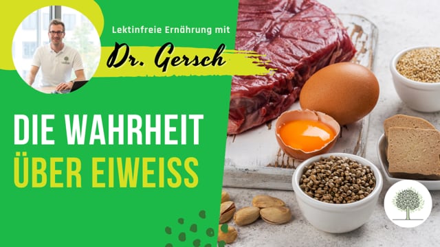 Wie viel Eiweiß und in welcher Form und wann und wie sollte ich zu mir nehmen? 
