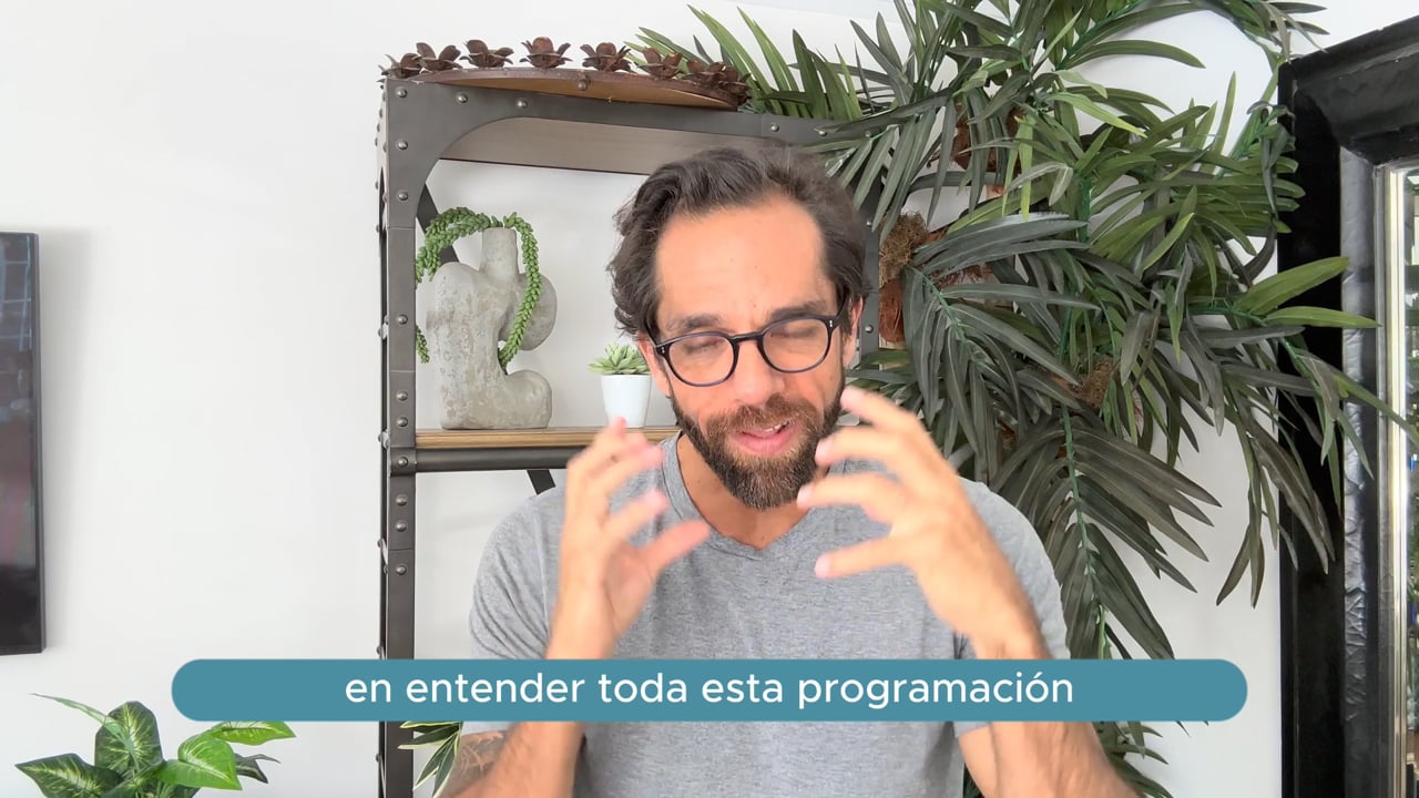 Reproducir