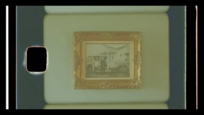 Olympia's Valley - Petaluma, California #3