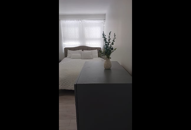 1 Freshly Renovated Bedroom for Rent Main Photo
