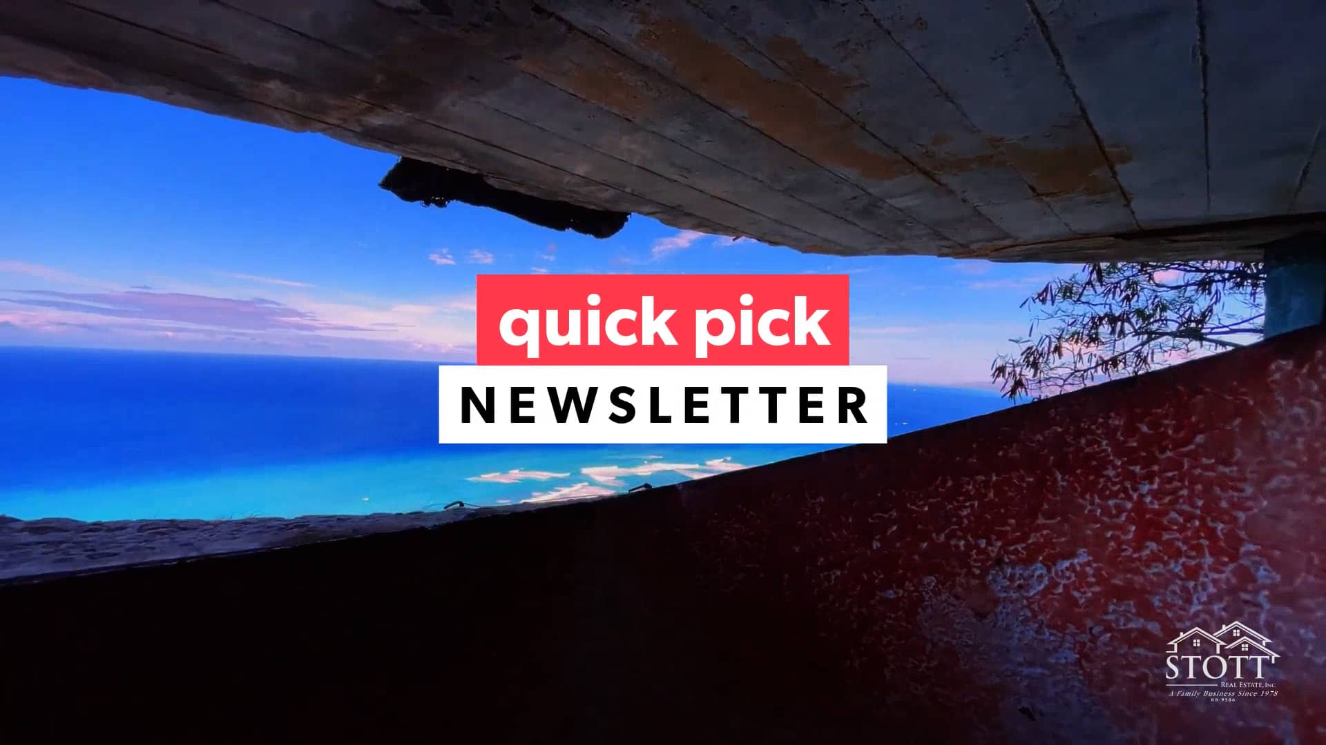 Quick Pick Newsletter Honeycreepers vs Mosquitos Stott Real Estate