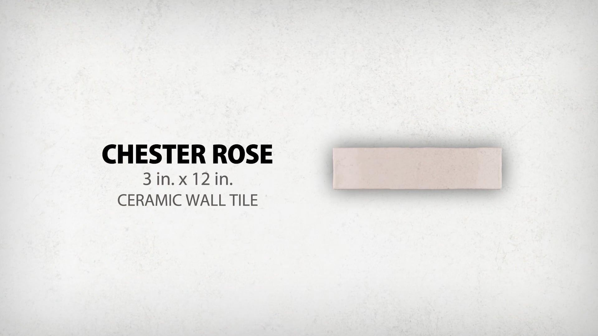 Chester Rose Ceramic Wall Tile