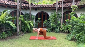 Related Embedded Video Item Thumbnail