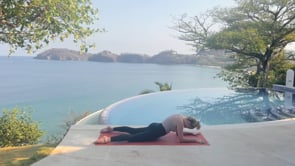 Related Embedded Video Item Thumbnail