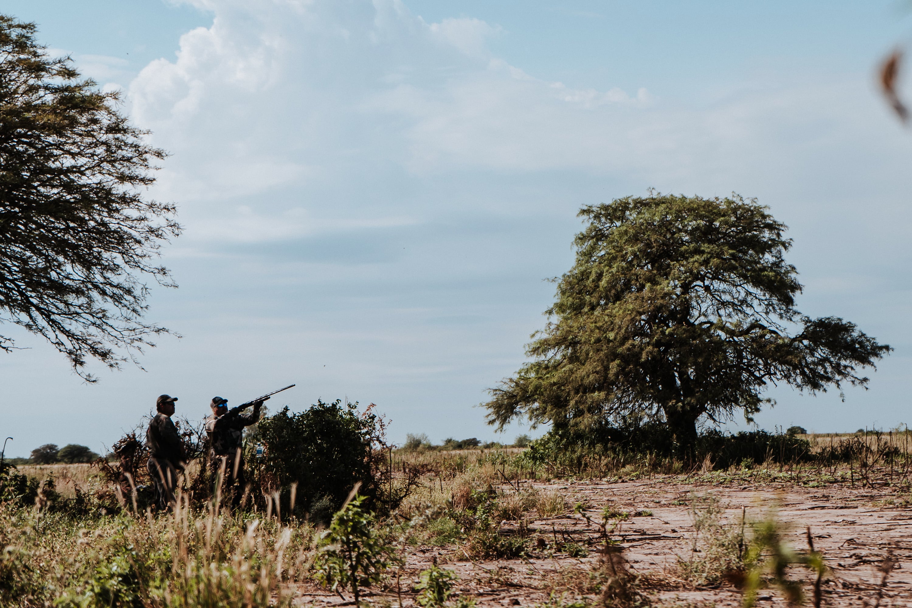 Exceptional Hunting with Pointer in Argentina! on Vimeo