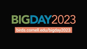 Big Day 2023 FINAL_20230503