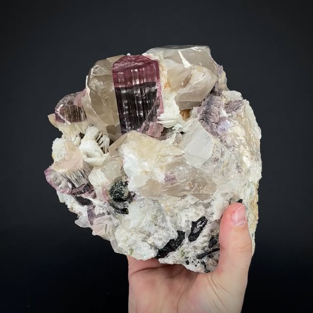 Tourmaline with Quartz, Cleavelandite, Albite and Lepidolite