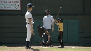 Google Search Umpire Agency 60