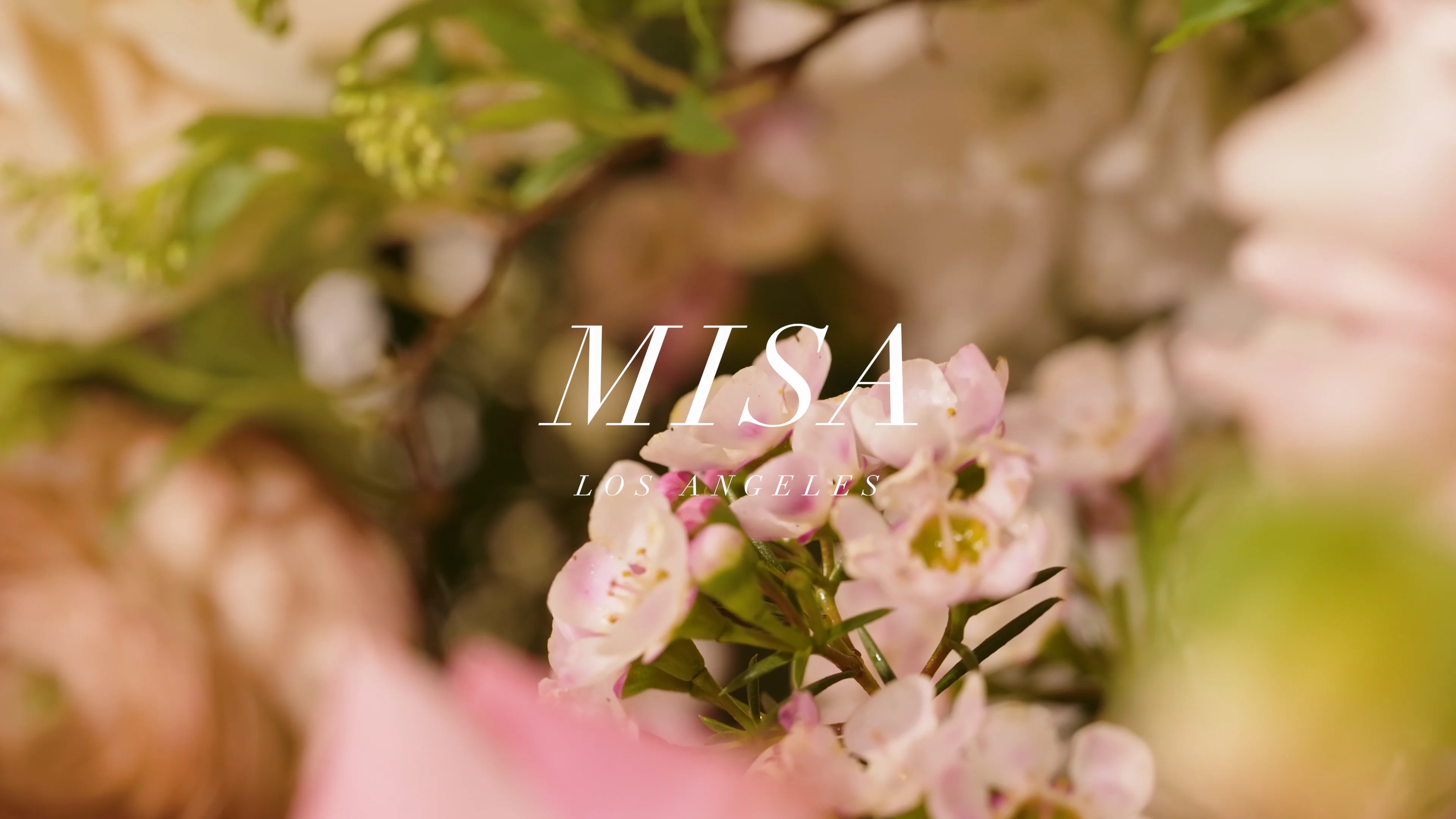 MISA World Videos – MISA Los Angeles