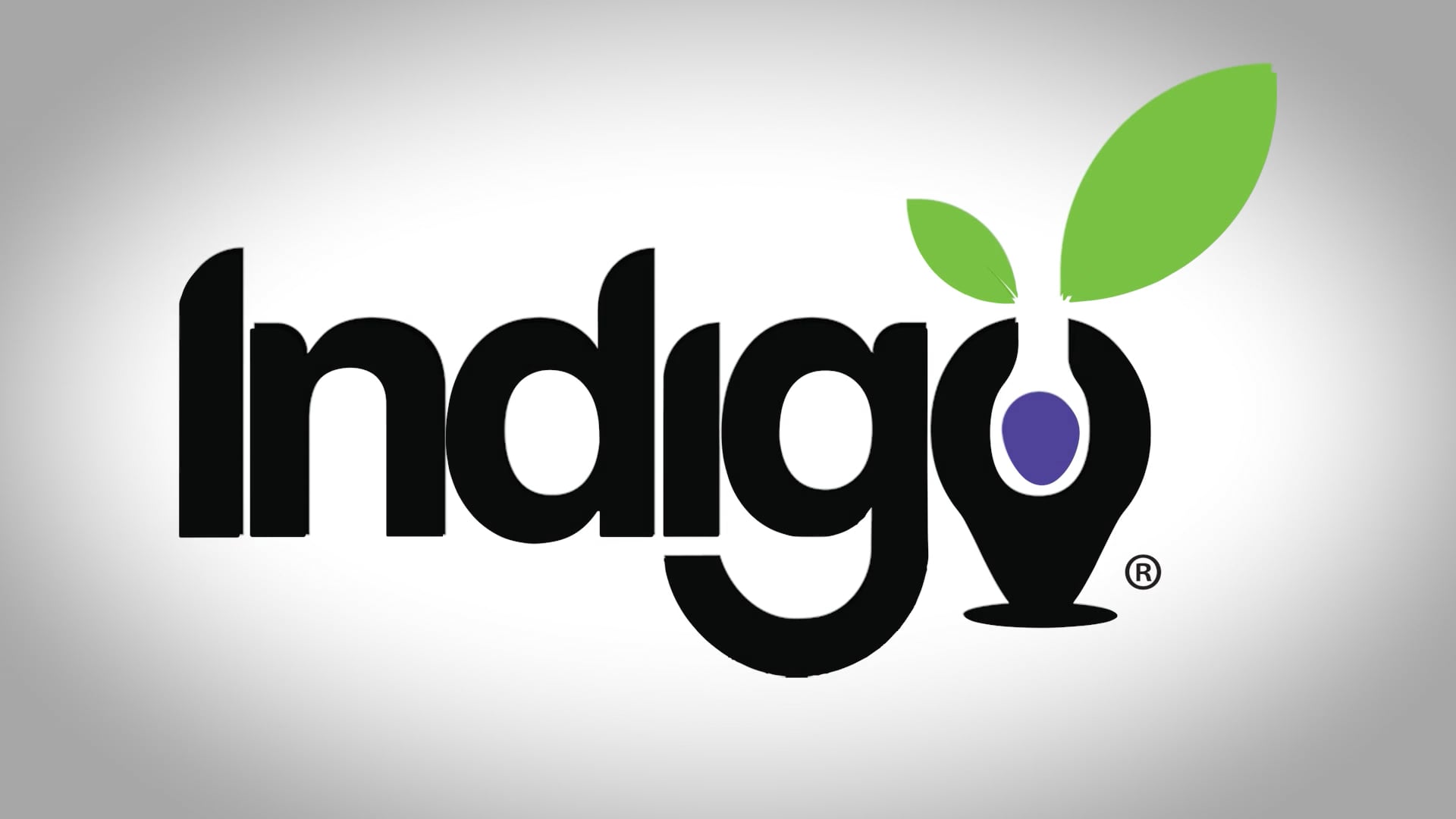 Indigo is Like a Car