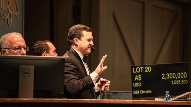 Review - 2023 Inglis The Chairmans Sale