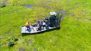 Airboat Tours by Arthur Matherne in Des Allemands, LA