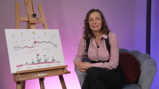 Angst die Pille abzusetzen