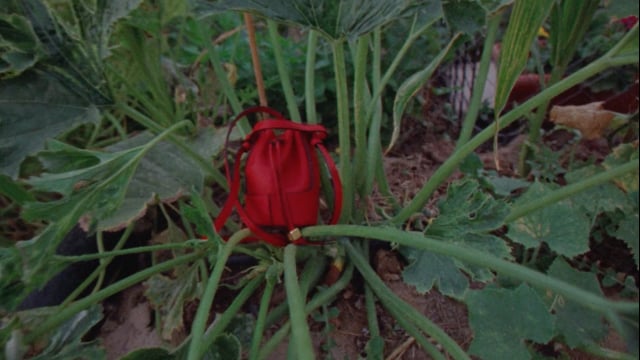 A thumbnail for the film 'Loewe - Made with Love' by   Persona.