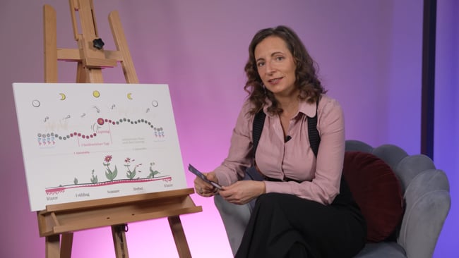 Kondom geplatzt? Pille danach?